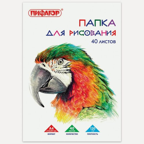 Изображение товара Папка для рисования А4, 40л Пифагор (210х297, 120 г/кв. м) (129222)