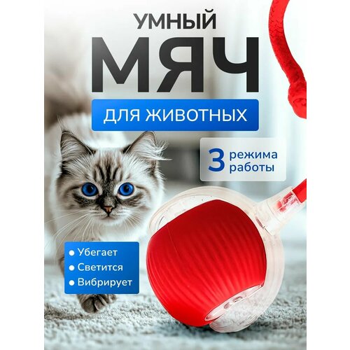 Игрушка для кошек "Умный мяч", светящийся, звуковой, латекс/пластик, красная