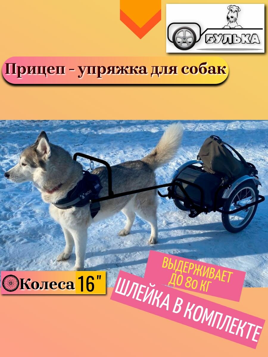 Прицеп - упряжка для собак Булька