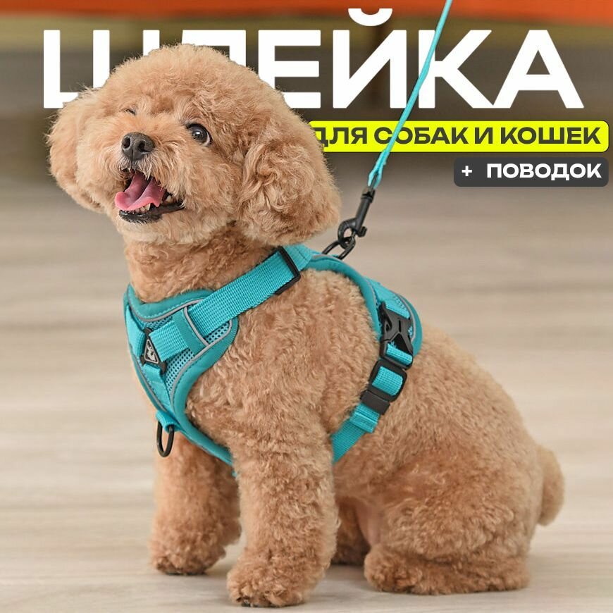 Шлейка-Праздничные подарки