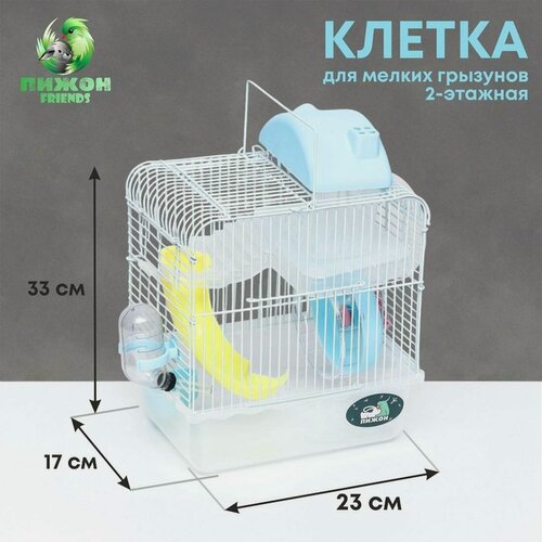 Изображение товара Клетка для грызунов "Пижон", 23 х 17 х 33 см, прозрачная, голубое наполнение