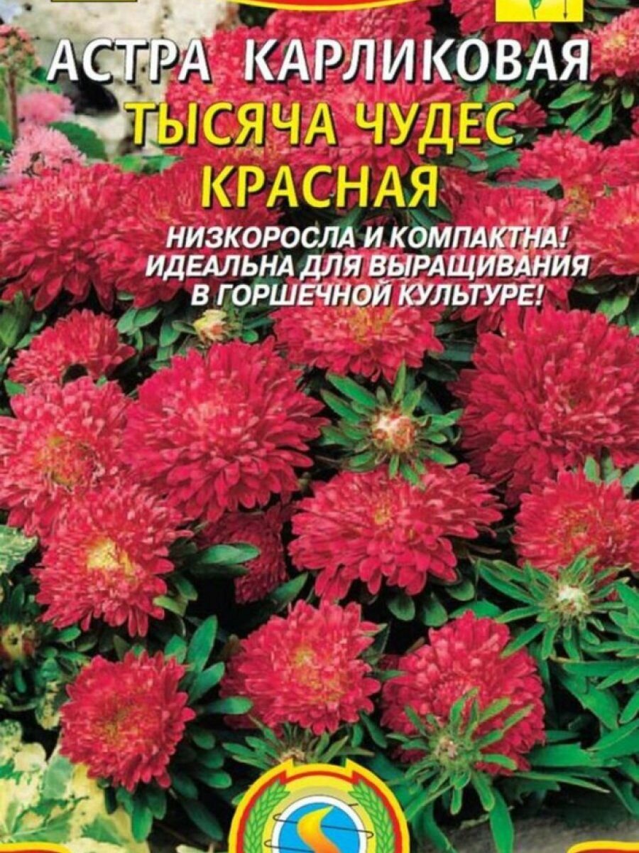 Семена Астра карликовая Тысяча чудес красная 02гр Плазменные семена