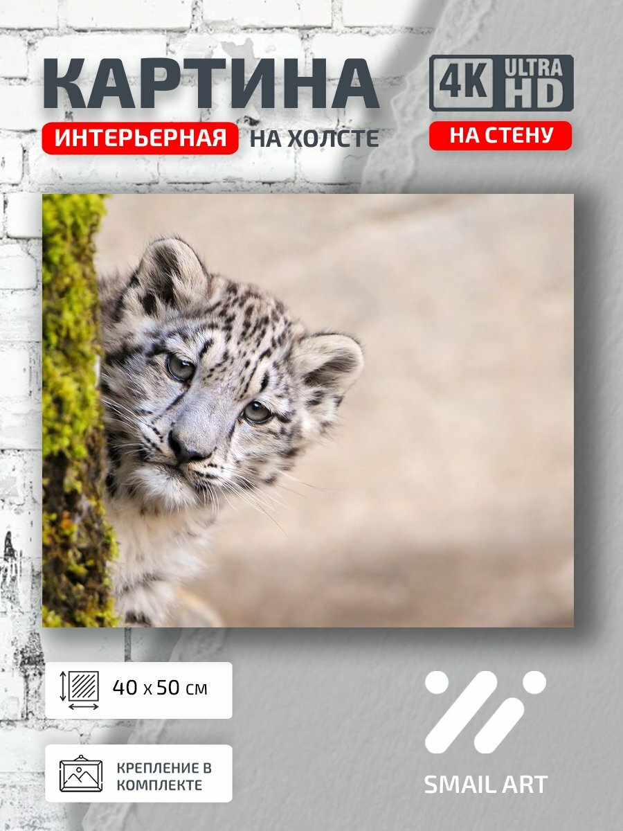 Картина на холсте интерьерная 40 на 50 на стену Леопард Landscape для гостиной пейзаж декор