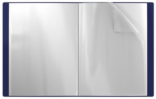 Папка файловая пластиковая ErichKrause® MEGAPOLIS, c 40 карманами, A4, синий