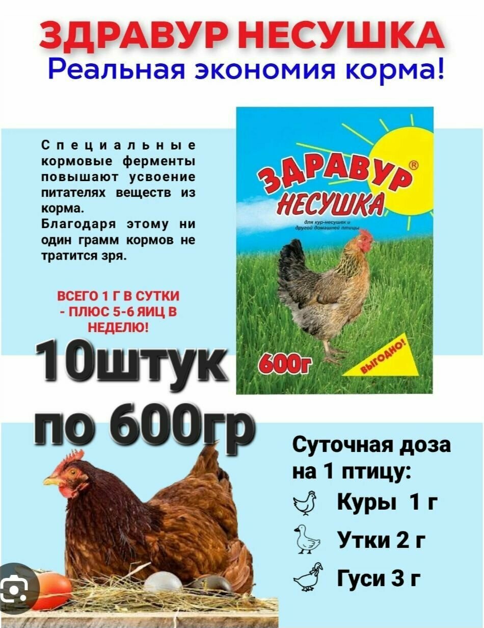 Здравур Несушка, Премикс для кур добавка и витамины 10 шт по 600г - фотография № 1