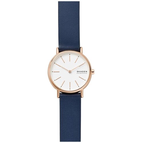 Наручные часы SKAGEN SKW2838