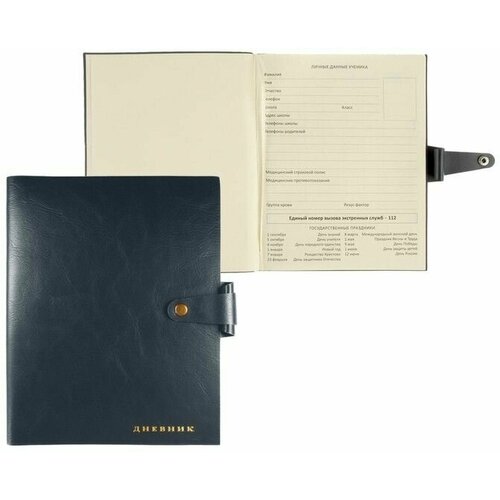 Дневник универсальный для 1-11 классов vorite 593₽