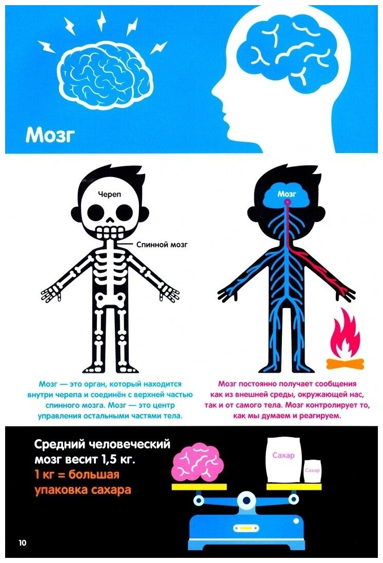 Тело человека. Инфографика (Брандл Харриет) - фото №2