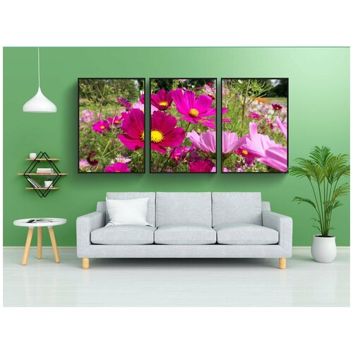 фото Набор модулных постеров для интерьера "космея, цветок, кумба" 60x90 см. в тубусе, без рамки lotsprints