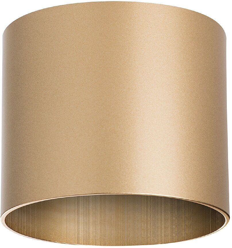 Накладной светильник Lightstar Rullo 213490, GX53, кол-во ламп:1шт, Золото