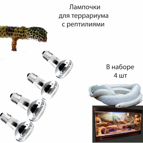 Лампа для террариума 4 шт террариум для рептилий /черепах ящерицы с лампочками /змей (Е27 60 ВТ)