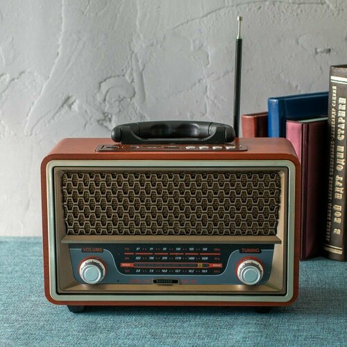 Ретро радиоприемник с флешкой портативная музыкальная блютуз колонка 2297₽