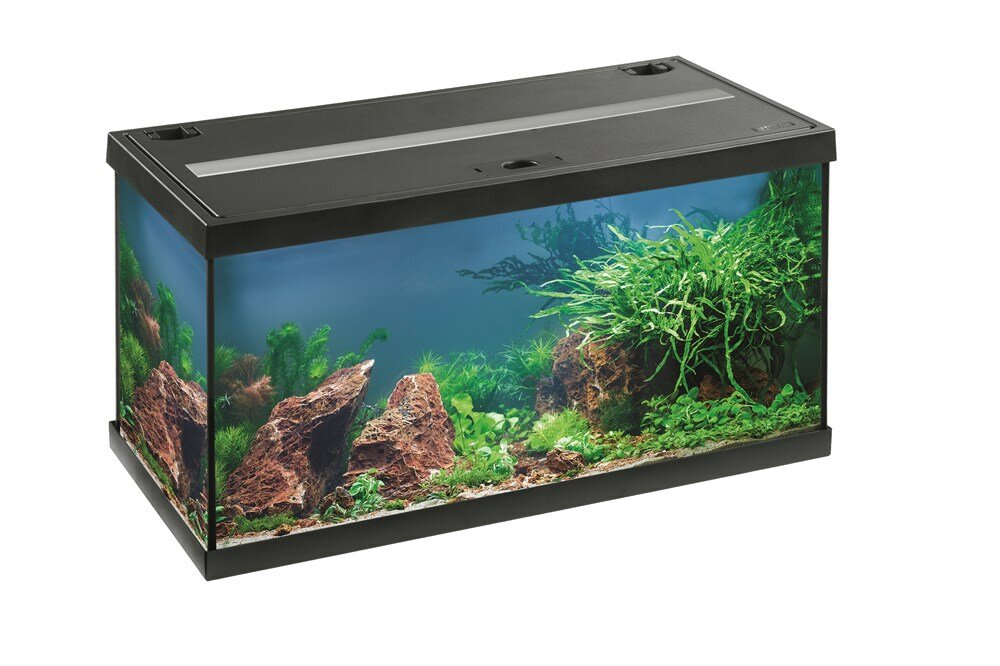 Аквариум EHEIM aquastar 54 LED чёрный 54л 60x30x30см