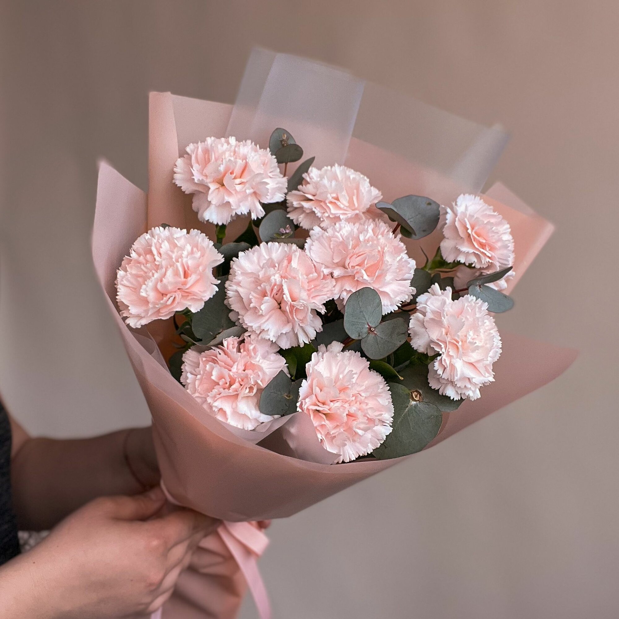 Букет из живых цветов кремовые гвоздики (диантусы) 9 штук в упаковке — фото 1