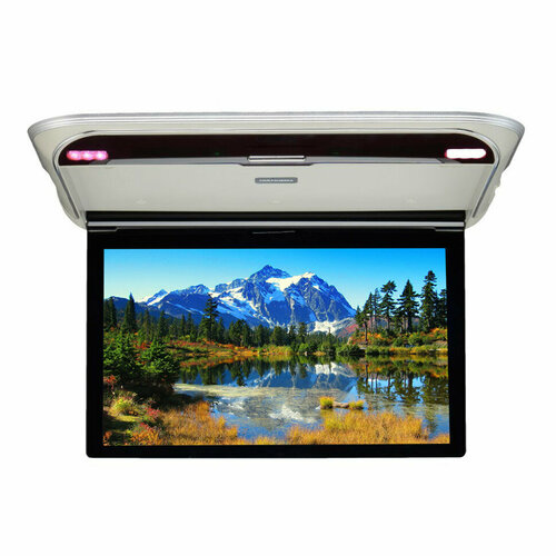 Монитор ERGO Electronics ER17M (серый)