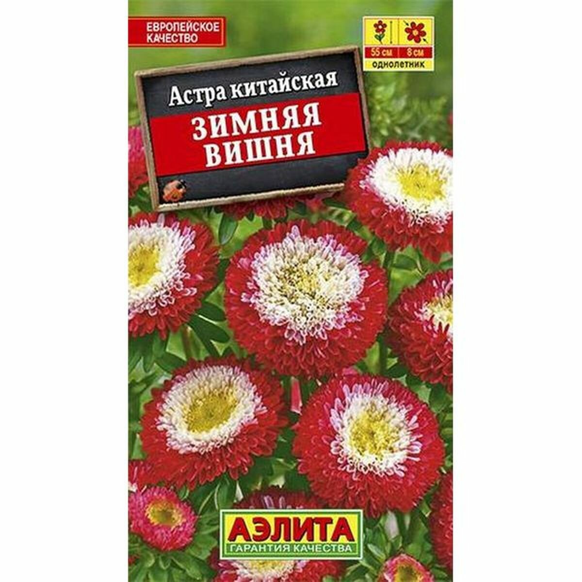 Семена Астра Зимняя вишня помпонная однолетник Аэлита 1 пачка - 0.2г семян