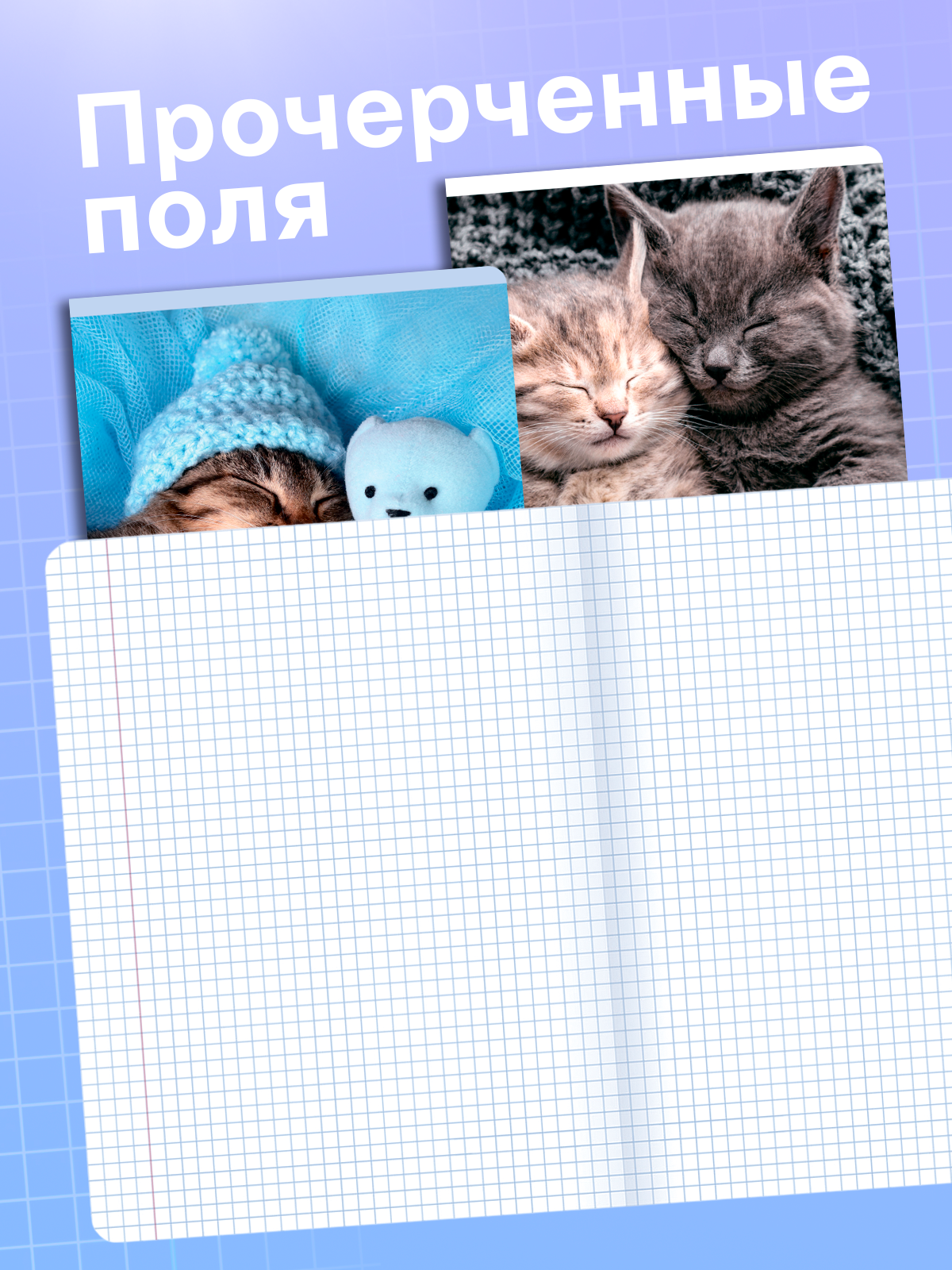 Тетради в клетку 18 листов AXLER для школы, набор 10 штук, котята — фото 1