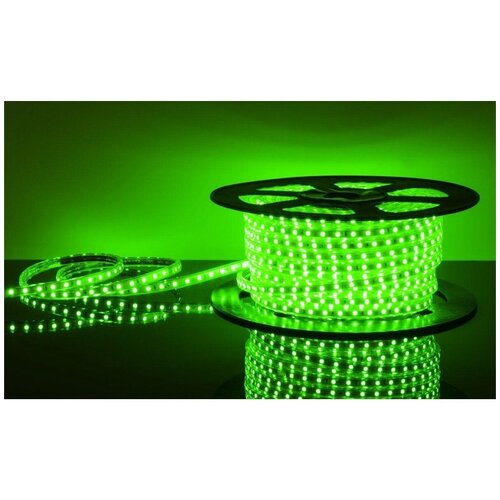 LED лента 220 В, 13х8 мм, Ip67, SMD 5050, 60 LED/m, цвет свечения зеленый 142-104 .