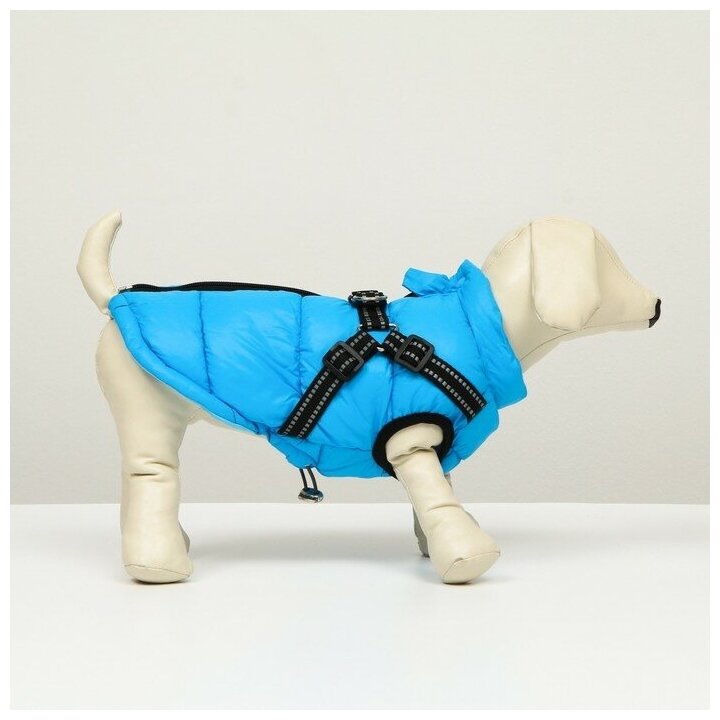 Куртка для собак со шлейкой, размер 18 (ДС 40 см, ОГ 50 см, ОШ 38 см), лазурная - фотография № 2
