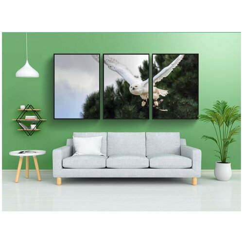 фото Набор модулных постеров для интерьера "снежная сова, птица, ящер" 60x90 см. в тубусе, без рамки lotsprints