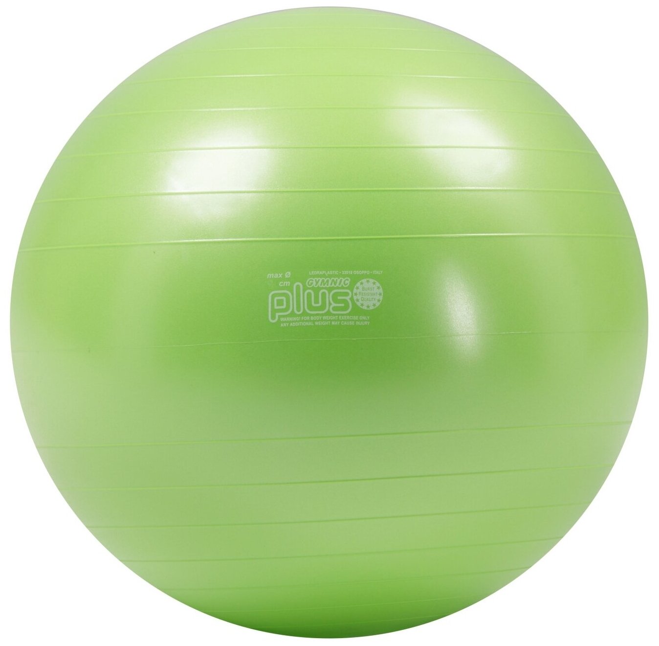 Мяч Gymnic Plus 95.39 (55 см)