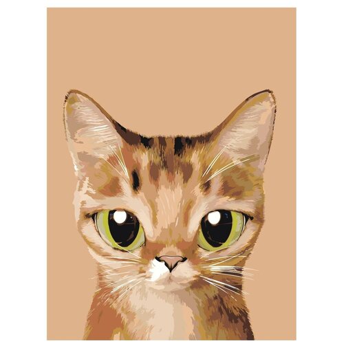 Картина по номерам, Живопись по номерам, 36 x 48, A561, кот, зеленые глаза, домашнее животное, рисунок