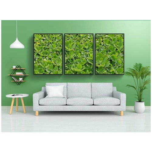 фото Набор модулных постеров для интерьера "водное растение, плавучий завод, тропический" 60x90 см. в тубусе, без рамки lotsprints