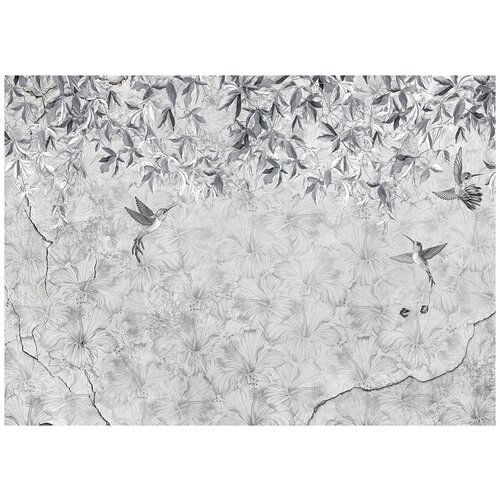 Колибри черно-белое - Виниловые фотообои, (211х150 см) лес и звери черно белое виниловые фотообои 211х150 см