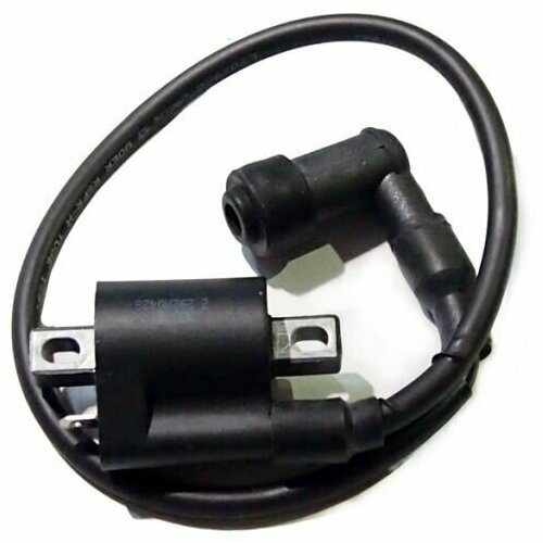 Катушка зажигания двигателя ZS190E (Zongshen)