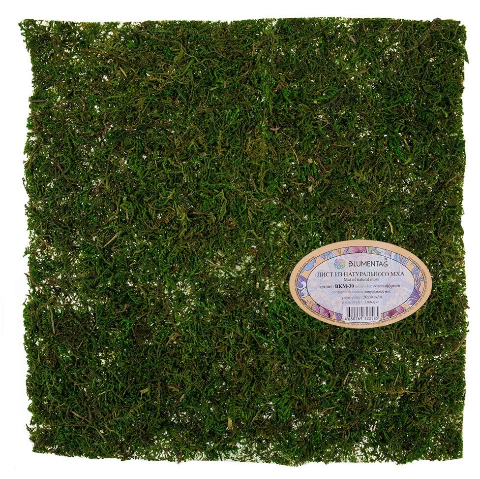 Лист из натурального мха "Blumentag" BKM-30 30 см зеленый