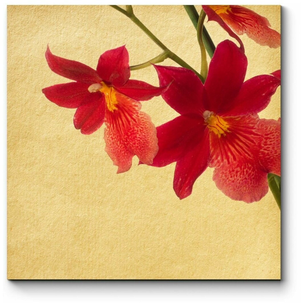 Модульная картина Красные орхидеи20x20
