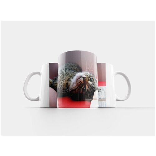 фото Кружка "кот, вранье, котенок" 320 мл lotsprints