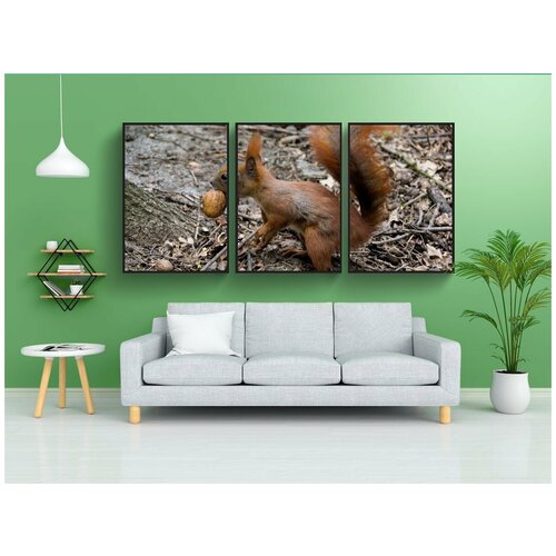 фото Набор модулных постеров для интерьера "животное, белка, руда" 60x90 см. в тубусе, без рамки lotsprints