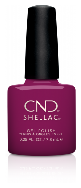 CND - Shellac, 7.3 , Dreamcatcher