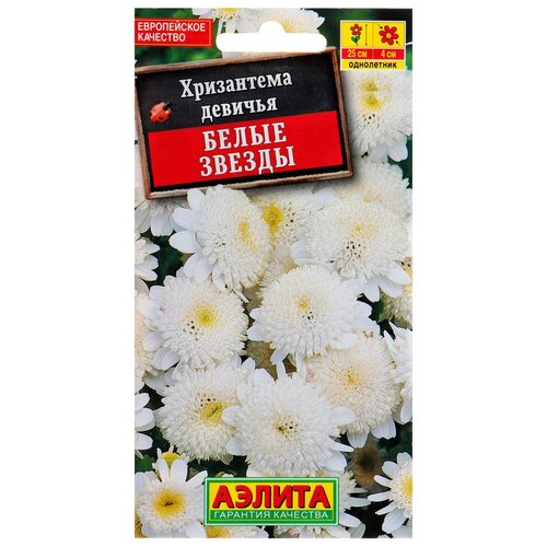 Семена цветов Хризантема девичья Белые Звезды. О, 0,1 г семена цветы хризантема белые звезды