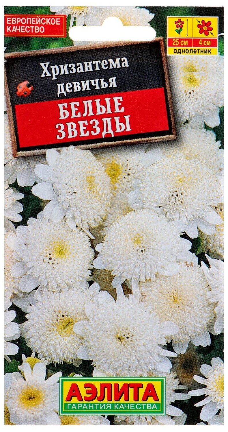 Семена цветов Хризантема девичья "Белые Звезды". О 01 г