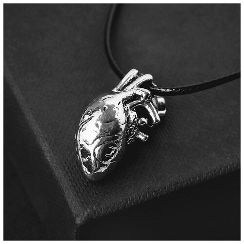 фото Кулон на шнурке "анатомия" сердце, цвет чернёное серебро, 45 см queen fair