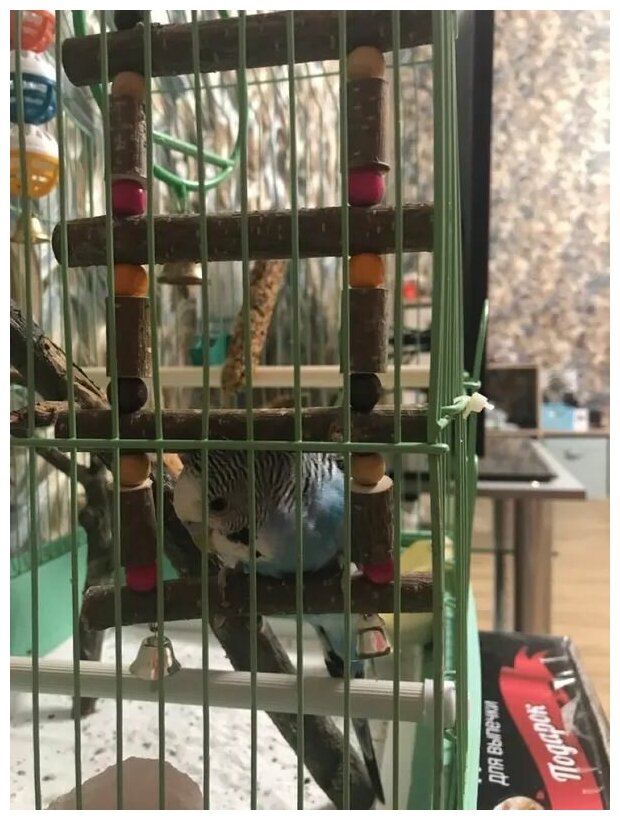 Игрушка для птиц Лесенка с боченками 27х10см, Zoobaloo - фотография № 3