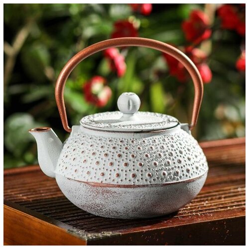 фото Чайник с ситом «шио», 850 мл qwen