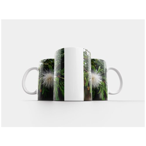 фото Кружка "цветок, природа, сад" 320 мл lotsprints