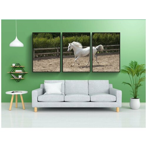 фото Набор модулных постеров для интерьера "лошадь, белый, красивая" 60x90 см. в тубусе, без рамки lotsprints