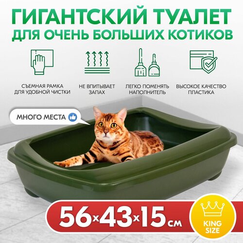 Туалет для кошек, лоток для кошек PetTails для Мейн-кунов глубокий, большой (под наполнитель) 56*43*15см, изумрудный туалет для мейн кунов глубокий большой без борта 56 43 13 см серый