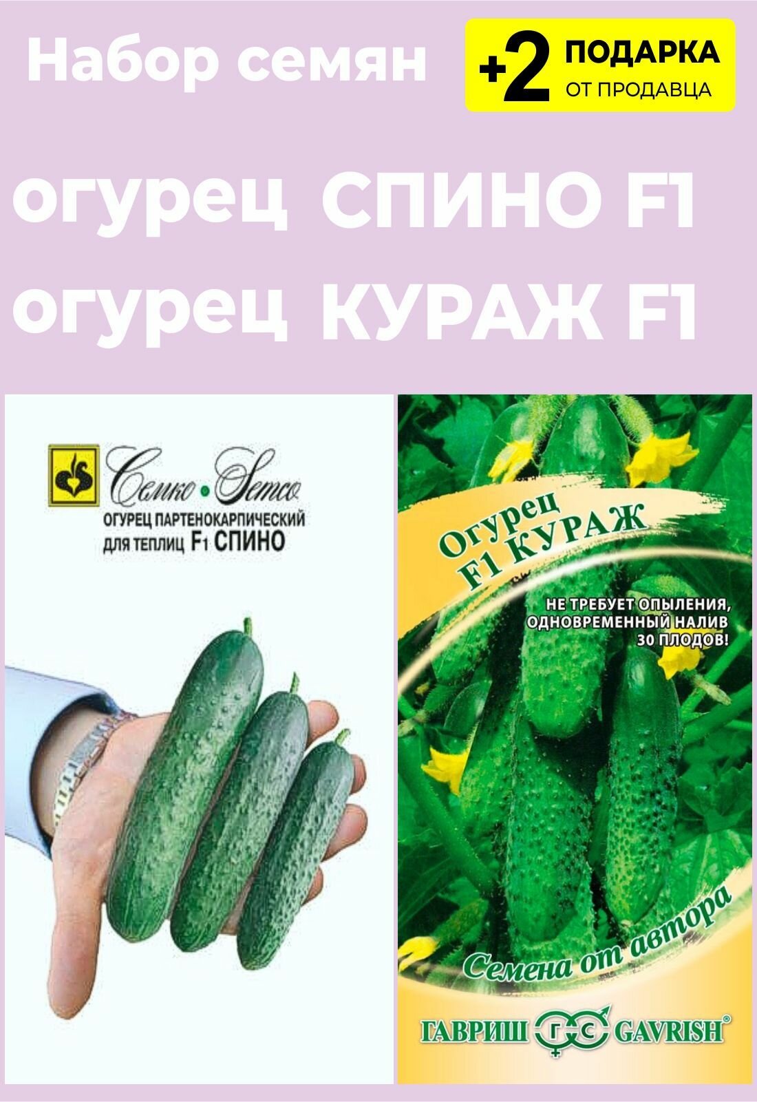 Огурцы огурец спино - купить по выгодным ценам в интернет-магазине OZON (6967664