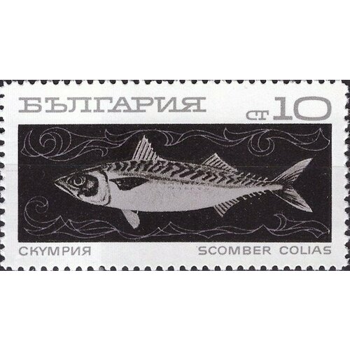 (1969-103) Марка Болгария Скумбрия Океанское рыболовство I Θ 1969 112 марка болгария клоуны цирк i θ