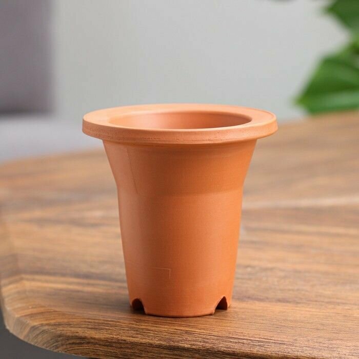 фото Горшок цветочный "Неофинетия" 0,13 л