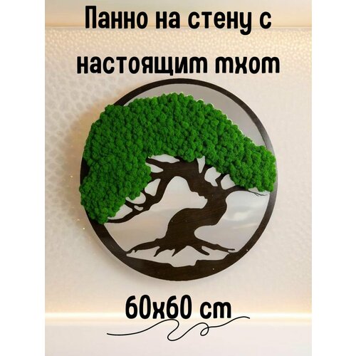 Панно настенное из натурального мха для декора 60х60см