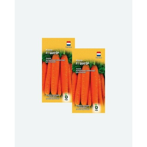 Семена Морковь Бангор F1, 150шт, Гавриш, Ведущие мировые производители, Bejo(2 упаковки)