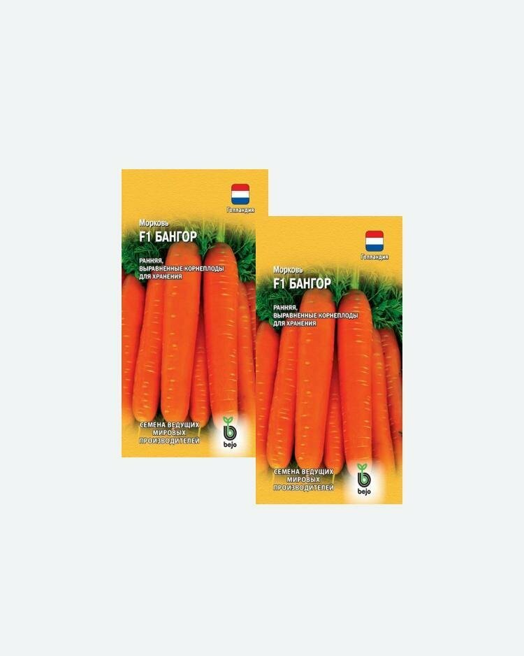 Семена Морковь Бангор F1 150шт Гавриш Ведущие мировые производители Bejo(2 упаковки)