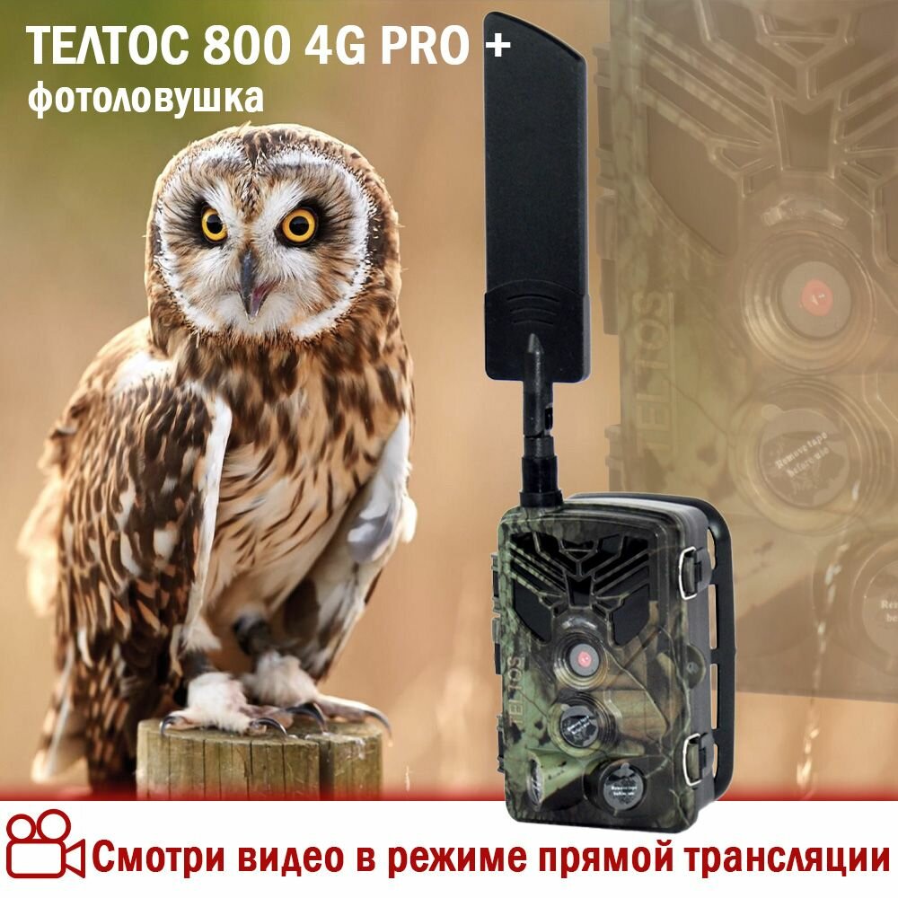 Фотоловушка "Телтос 800 MMC 4G PRO 60+" со встроенным аккумулятором для охоты, охраны дома или дачи.