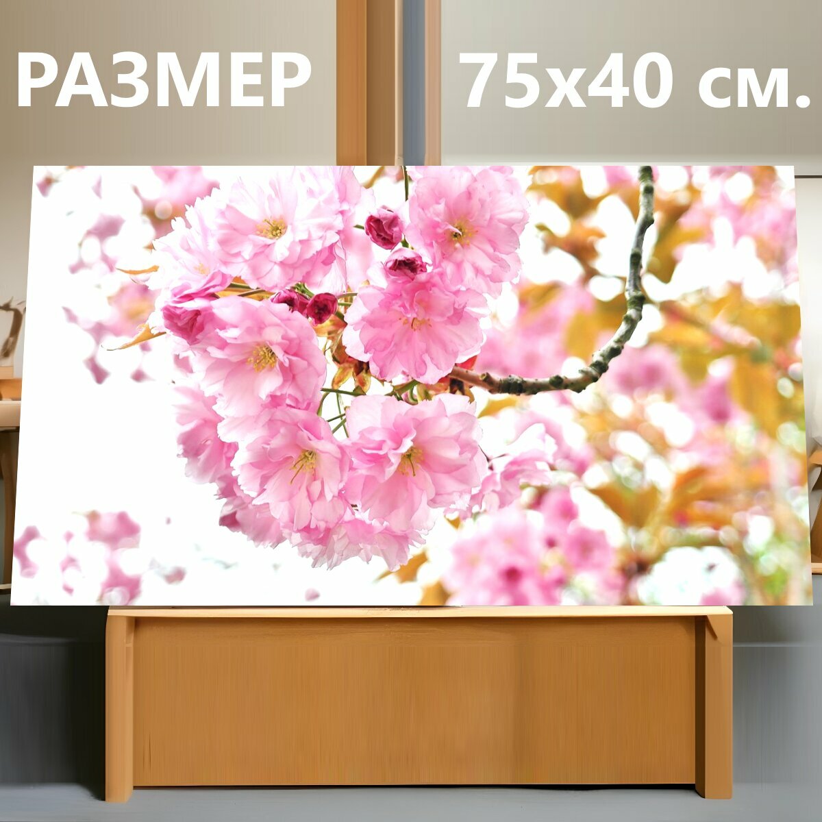 Картина на холсте "Вишневое дерево, вишня в цвету, цветочный зонтик" на подрамнике 75х40 см. для интерьера